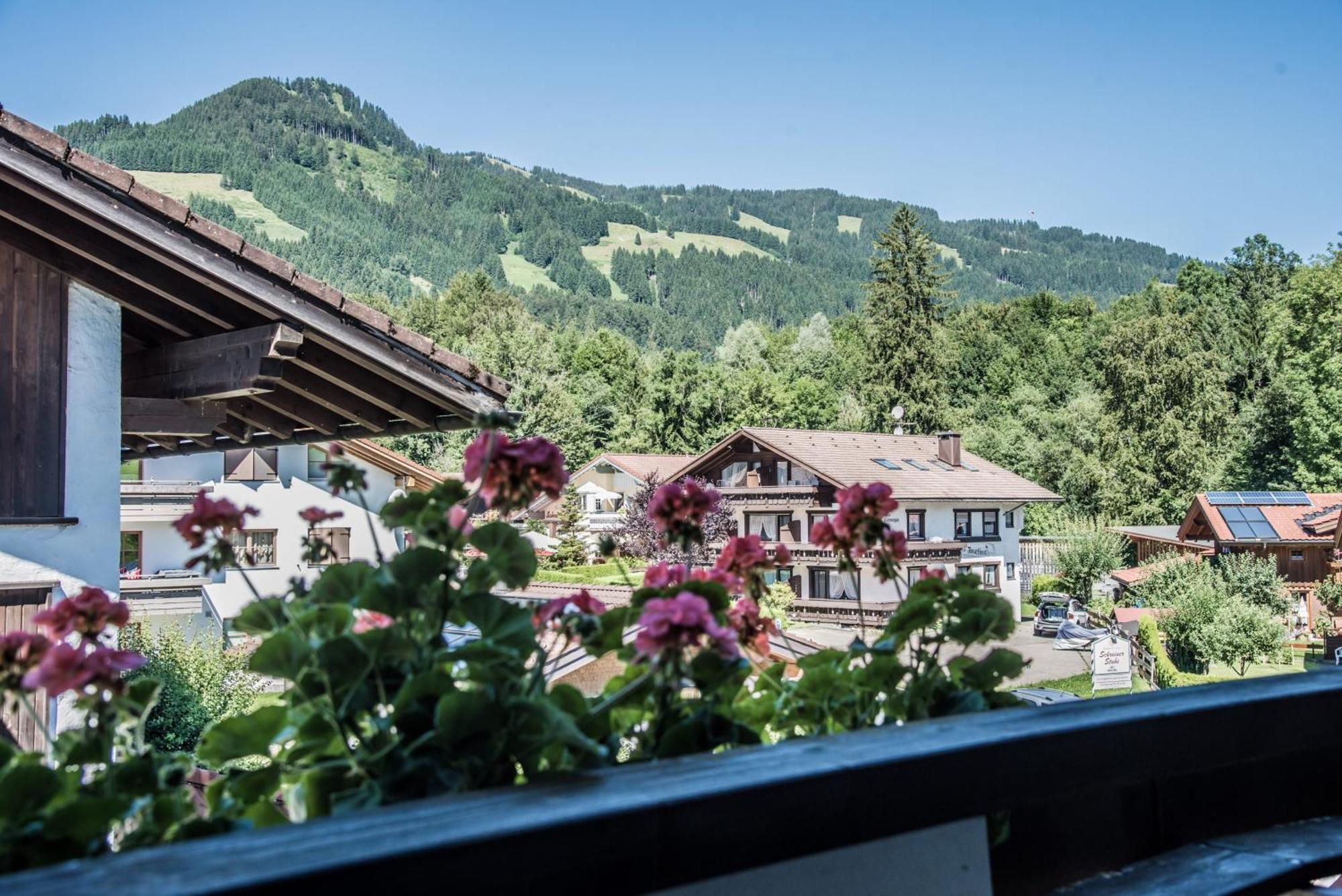 Haus Susanne - Top-Ferienwohnungen - Sommer-Bergbahn Inklusive Obermaiselstein Eksteriør billede
