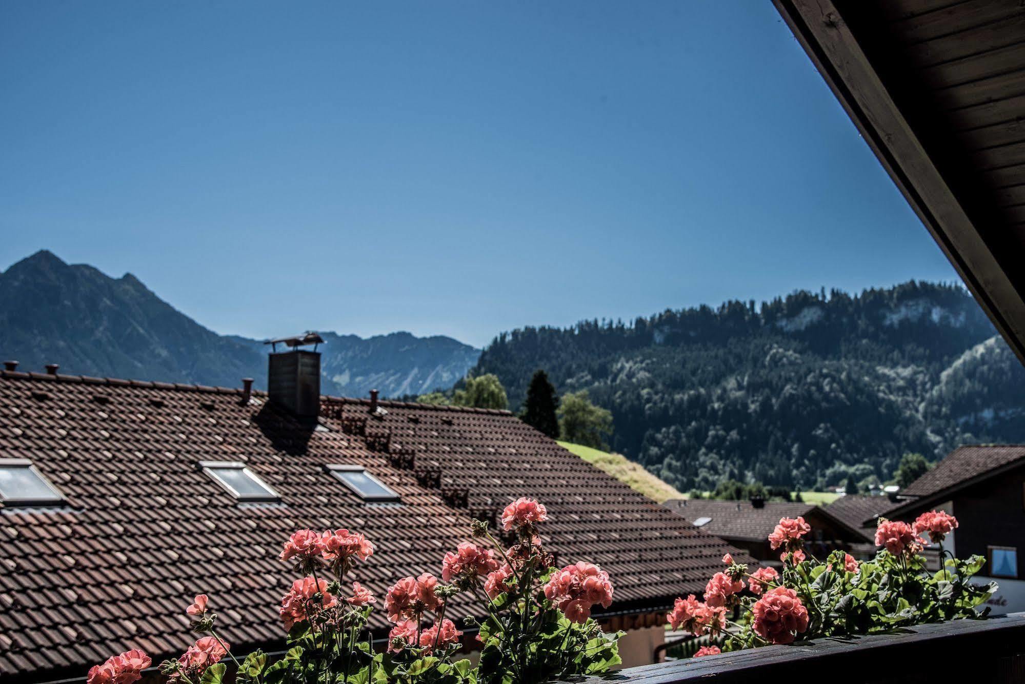 Haus Susanne - Top-Ferienwohnungen - Sommer-Bergbahn Inklusive Obermaiselstein Eksteriør billede